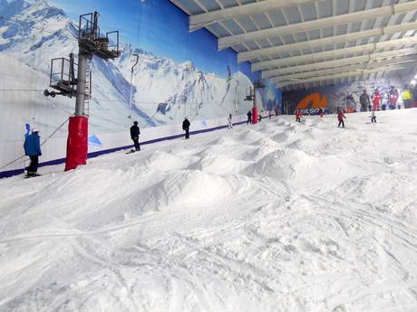 Skigebieden voor gevorderden en off-piste skiërs Groot-Brittanië – Gevorderden, off-piste skiërs The Snow Centre – Hemel Hempstead