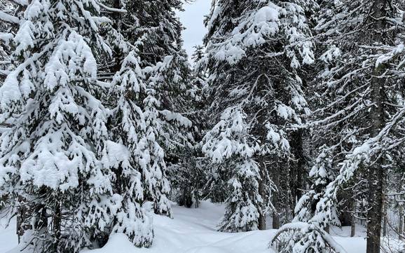 Sneeuwzekerheid North Okanagan – Sneeuwzekerheid SilverStar