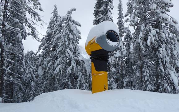 Sneeuwzekerheid Monashee Mountains – Sneeuwzekerheid Red Mountain Resort – Rossland