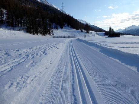 Langlaufen Engadin St. Moritz – Langlaufen Languard – Pontresina