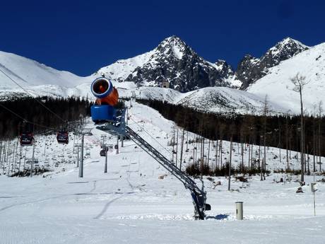 Sneeuwzekerheid Hoge Tatra – Sneeuwzekerheid Tatranská Lomnica