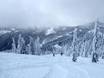 Skigebieden voor gevorderden en off-piste skiërs Kootenay Rockies – Gevorderden, off-piste skiërs Red Mountain Resort – Rossland