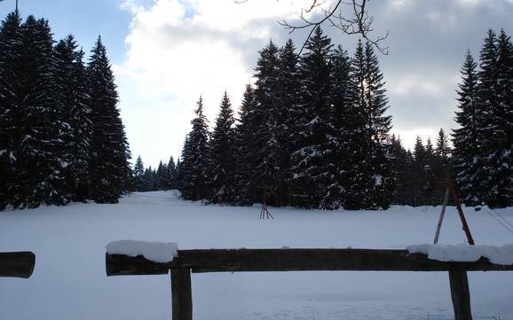 Hoogste skigebied in de Zuid-Boheemse regio – skigebied Strážný