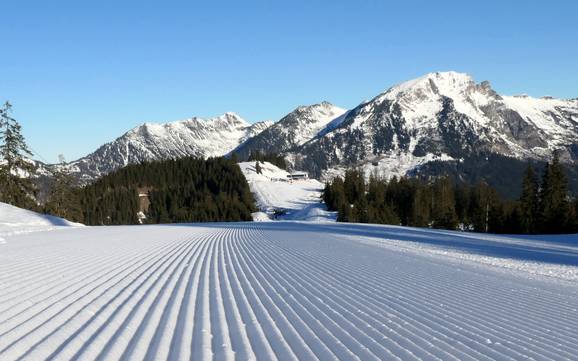 Pistepreparatie Dachstein-Salzkammergut – Pistepreparatie Dachstein West – Gosau/Russbach/Annaberg