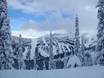 Canada: beoordelingen van skigebieden – Beoordeling Whitewater – Nelson