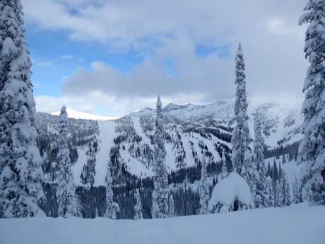 Selkirk Mountains: beoordelingen van skigebieden – Beoordeling Whitewater – Nelson