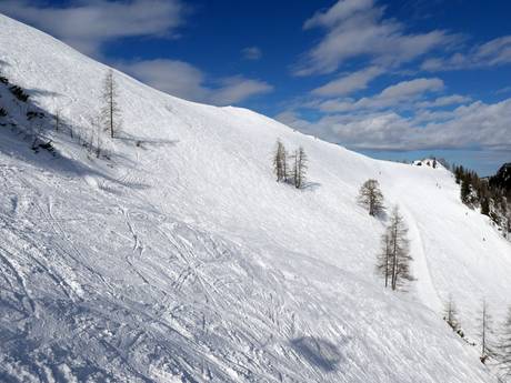 Skigebieden voor gevorderden en off-piste skiërs Berchtesgadener Land – Gevorderden, off-piste skiërs Jenner – Schönau am Königssee