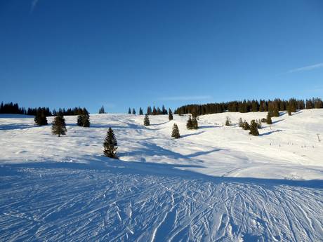 Lammertal: milieuvriendelijkheid van de skigebieden – Milieuvriendelijkheid Postalm am Wolfgangsee