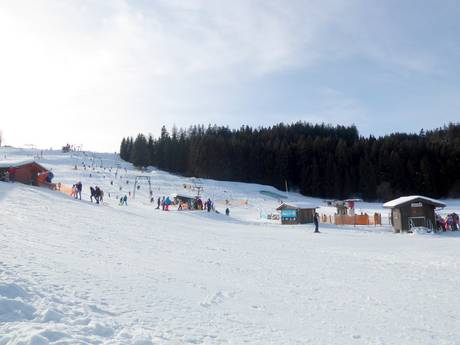 Beierse Alpenvoorland: Grootte van de skigebieden – Grootte Schwärzenlifte – Eschach