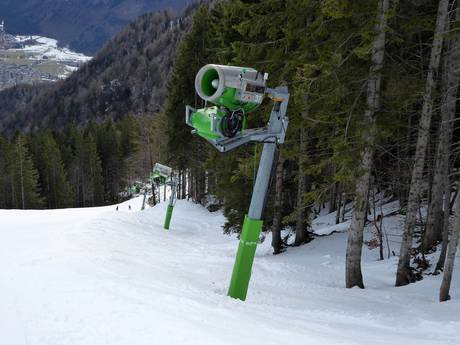 Sneeuwzekerheid Salzkammergut-bergen – Sneeuwzekerheid Feuerkogel – Ebensee