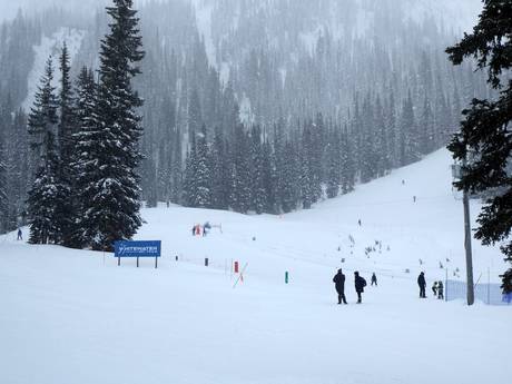 Skigebieden voor beginners in de Selkirk Mountains – Beginners Whitewater – Nelson