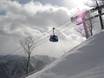 Skiliften Japanse Alpen – Liften Naeba (Mt. Naeba)