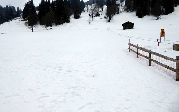 Skiën in Saxeten