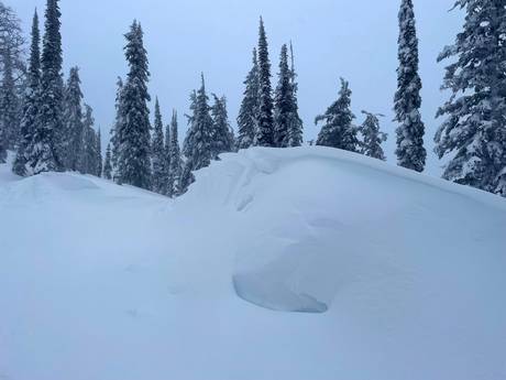 Sneeuwzekerheid Selkirk Mountains – Sneeuwzekerheid Whitewater – Nelson