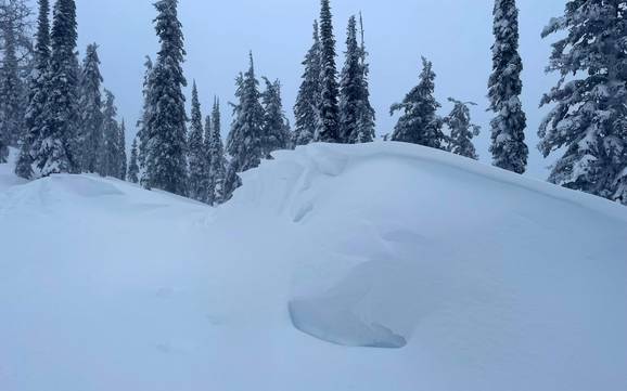 Sneeuwzekerheid Central Kootenay – Sneeuwzekerheid Whitewater – Nelson