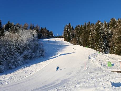 Pisteaanbod Allgäu – Pisteaanbod Ofterschwang/Gunzesried – Ofterschwanger Horn