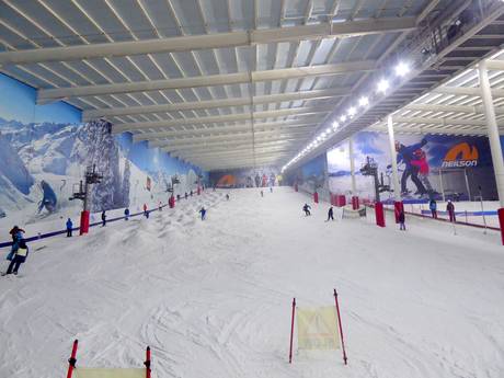 Wereldwijd: beoordelingen van skigebieden – Beoordeling The Snow Centre – Hemel Hempstead